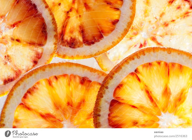 Macro shot five slices of an orange Orange Food fruit Drinking water Juice Healthy Round Juicy Sweet Air bubble Slice Food photograph Colour photo Studio shot