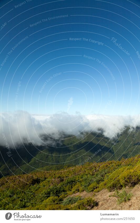 band of clouds Landscape Elements Earth Air Sky Cloudless sky Clouds Horizon Weather Beautiful weather Mountain Island Madeira Far-off places Gigantic Large