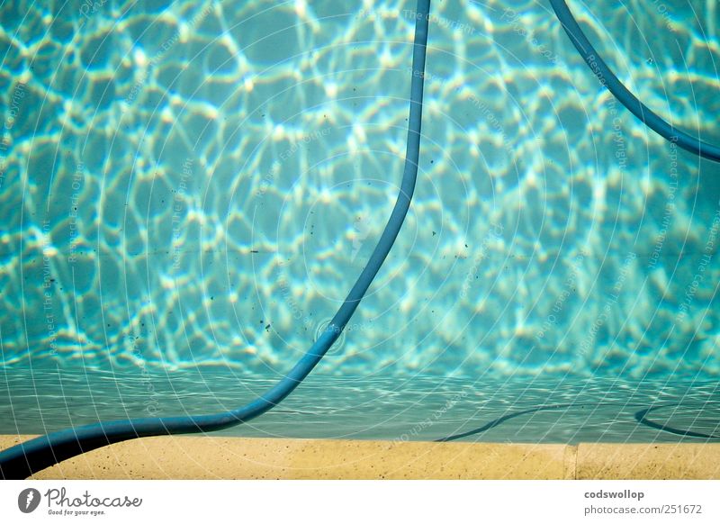 la piscine Lifestyle Calm Swimming & Bathing Summer Summer vacation Swimming pool Esthetic Fresh Water Pool border Hose Jacques Deray Colour photo Exterior shot