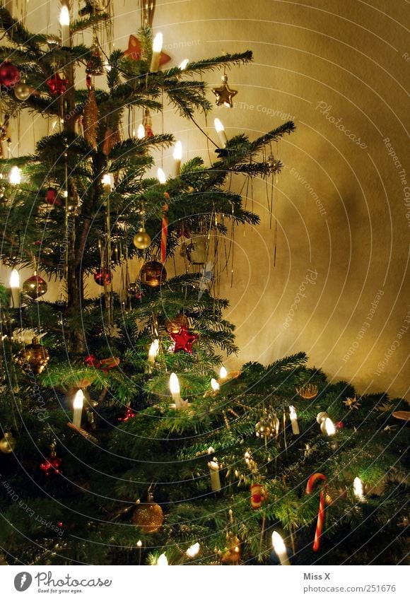It christmas very much Decoration Feasts & Celebrations Winter Tree Illuminate Glittering Moody Christmas tree Christmas decoration Christmas fairy lights