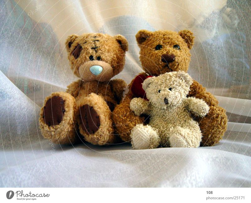 Only people Teddy bear Family & Relations Peace Harmonious Joy photo session Multiple Sit Together Looking into the camera 3