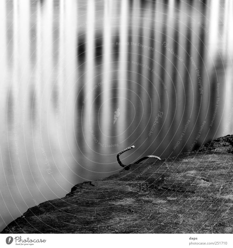 reflections Art Environment Nature Water Coast River bank Main Emotions Happiness Contentment Cologne Fine Art Black & white photo black Square 6x6