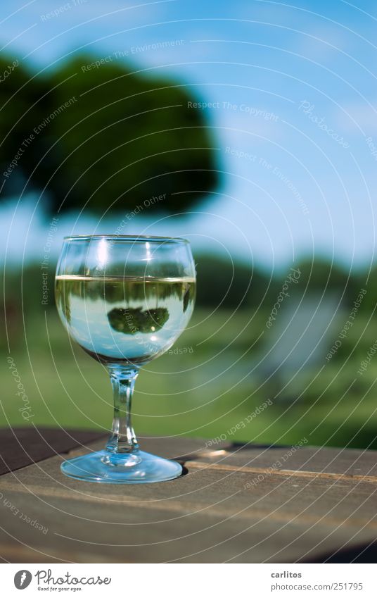 Honest and lifelike ... Beautiful weather To enjoy Glass Wine glass White wine Full Garden Terrace Leisure and hobbies Weekend Relaxation Reflection Refraction