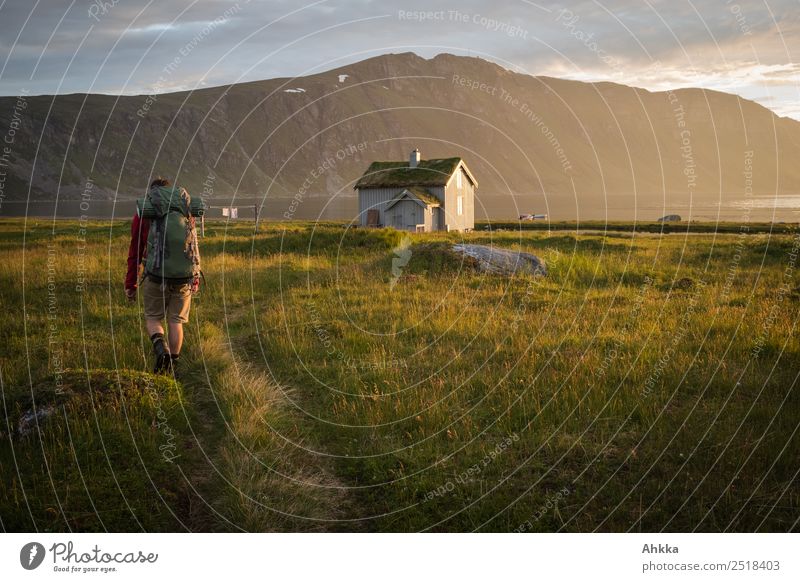 Hiker reaches hut in evening sun tide Harmonious Vacation & Travel Trip Adventure Far-off places Hiking 1 Human being Landscape Beautiful weather Grass Mountain