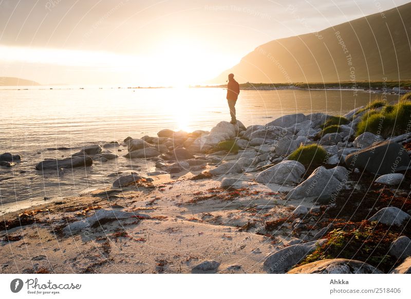 Man with pipe in midnight sun at the fjord Harmonious Contentment Relaxation Calm Meditation Vacation & Travel Adventure Far-off places Freedom Life 1