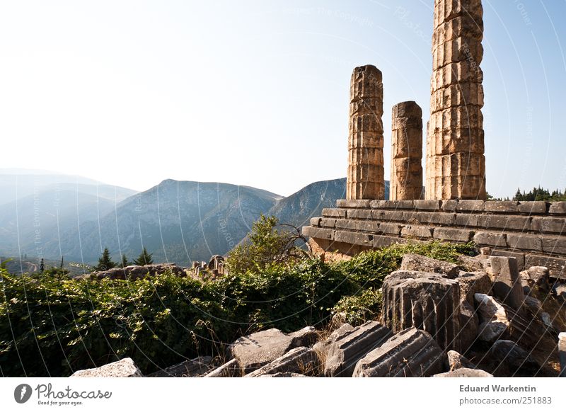 The Temple of Apollo Old town Ruin Past Transience Lose Greece Delphi Peloponnese Oracle Apollon Antiquity Mountain Column Architecture Stone Old times Plant