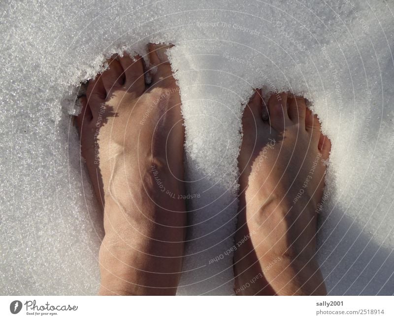 cool down... Feet 1 Human being Elements Winter Ice Frost Snow Relaxation Freeze Stand Cold White Brave Self Control Unwavering Refrigeration Toes Colour photo
