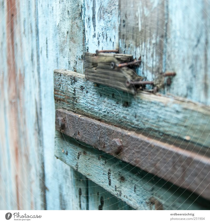 weathered High-rise Door Wood Old Blue Gate Storage shed Brittle Decompose Nail Flake off Colour Weathered Time Transience Colour photo Detail Copy Space top