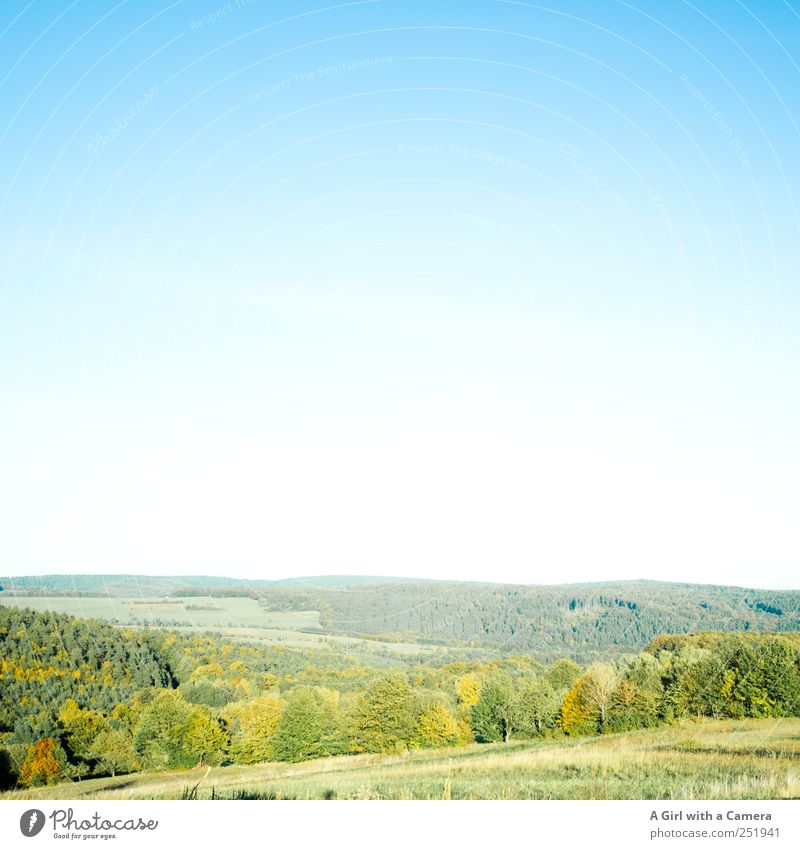 The Rhön is so beautiful! Environment Nature Landscape Plant Sky Cloudless sky Sunlight Autumn Weather Beautiful weather Tree Bushes Leaf Indian Summer Field