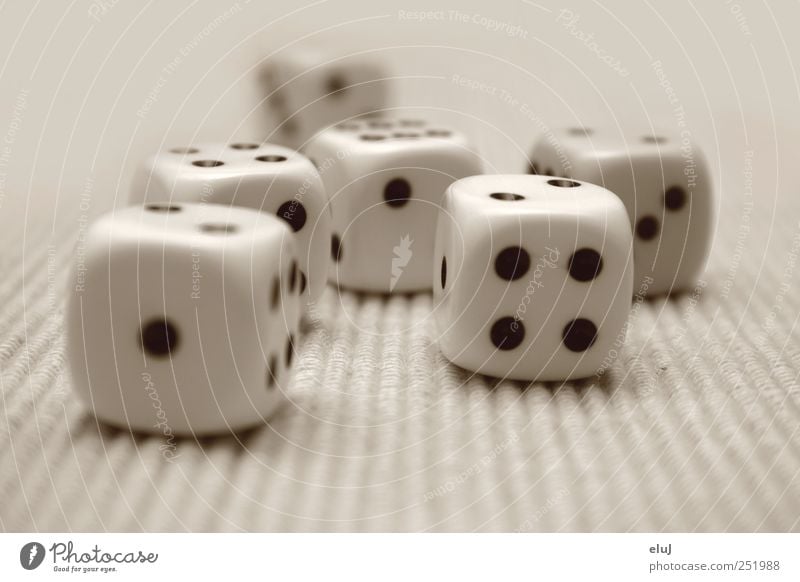 The die is cast Leisure and hobbies Playing Game of chance Children's game Black White Joy Compulsive gambling Dice Toys Kniffel number of points Colour photo