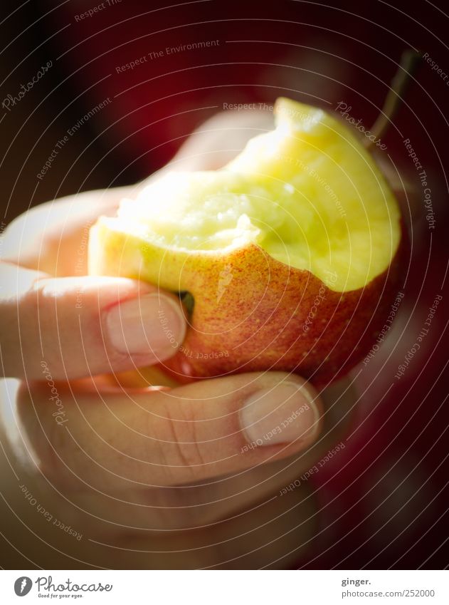The temptation [CHAMANSÜLZ 2011] Hand Fingers Eating Apple bitten into bitten off Offer Delicious Fruit Colour photo Multicoloured Exterior shot Close-up Detail