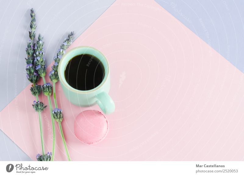 Cup of coffee with macaroons and lavender flowers Dough Baked goods Breakfast Beverage Hot drink Coffee Espresso Style Design Summer Decoration Desk Table