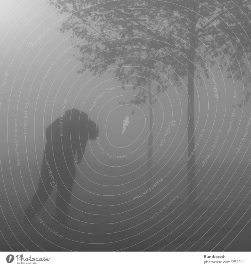 except the norm and alone Man Adults 1 Human being Fog Tree Stand Sadness Threat Dark Creepy Hideous Gloomy Gray Grief Pain Longing Disappointment Loneliness