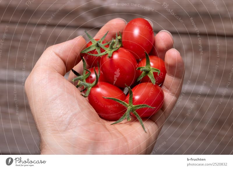 date tomatoes Vegetable Organic produce Vegetarian diet Healthy Eating Man Adults Arm Fingers To hold on Fresh Red Tomato tomato with dates Cocktail tomato