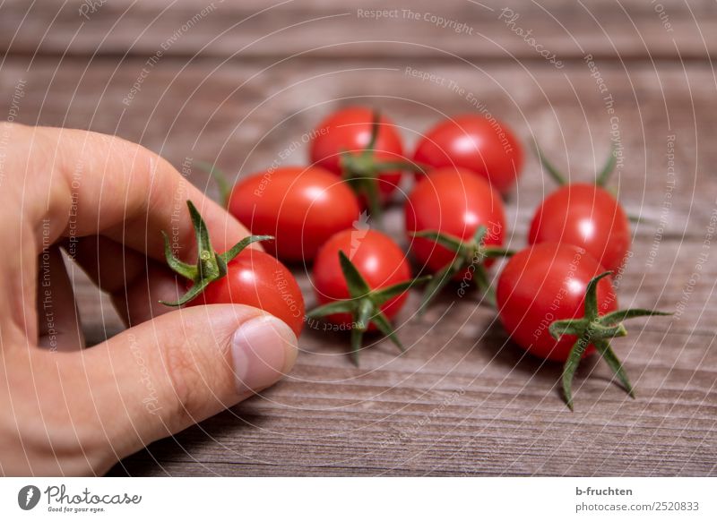 Cocktail tomatoes Food Vegetable Organic produce Vegetarian diet Healthy Eating Summer Agriculture Forestry Hand Fingers Wood Select Utilize To hold on Fresh