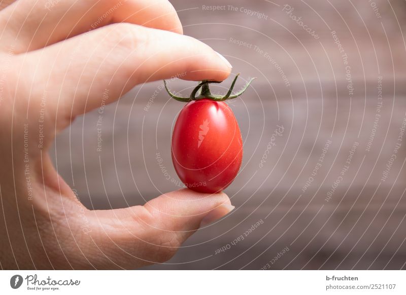 date tomato Food Vegetable Organic produce Vegetarian diet Healthy Eating Cook Kitchen Hand Fingers Select Utilize Touch Movement To hold on Sell Fresh Red