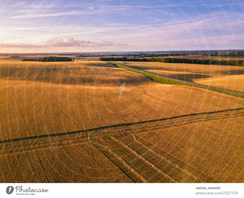 Summer august field at harvesting time in sunset sunlight Tourism Far-off places Work and employment Industry Business Machinery Nature Landscape Plant Sky