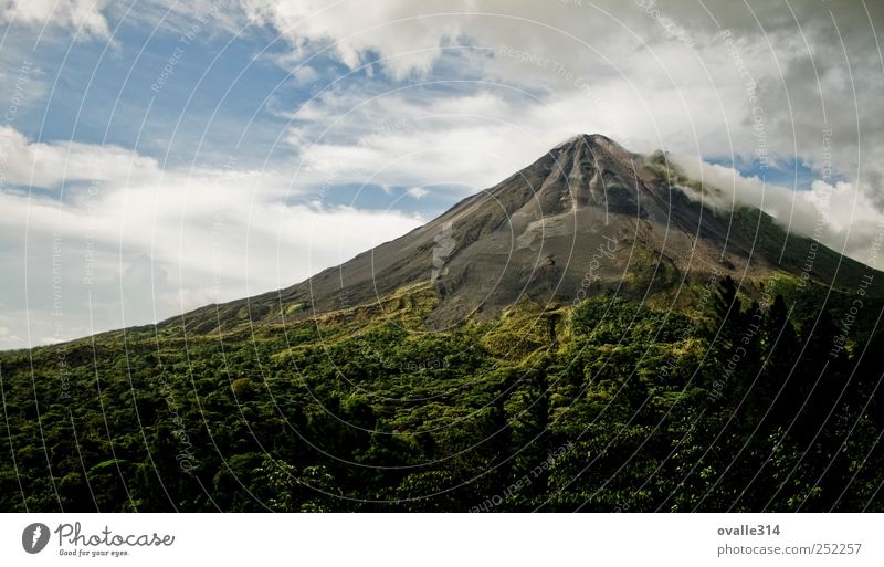 Landscape Summer Beautiful weather Forest Volcano Adventure Effort Fragrance Idyll Inspiration Power Might Calm Environment Growth Far-off places Target