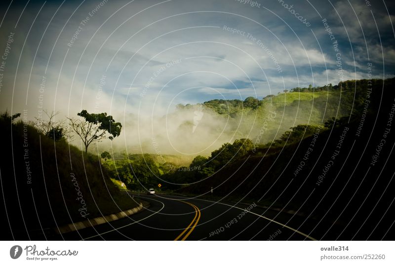Landscape Earth Air Clouds Summer Beautiful weather Fog Tree Forest Mountain Transport Traffic infrastructure Road traffic Highway Car Driving Vacation & Travel