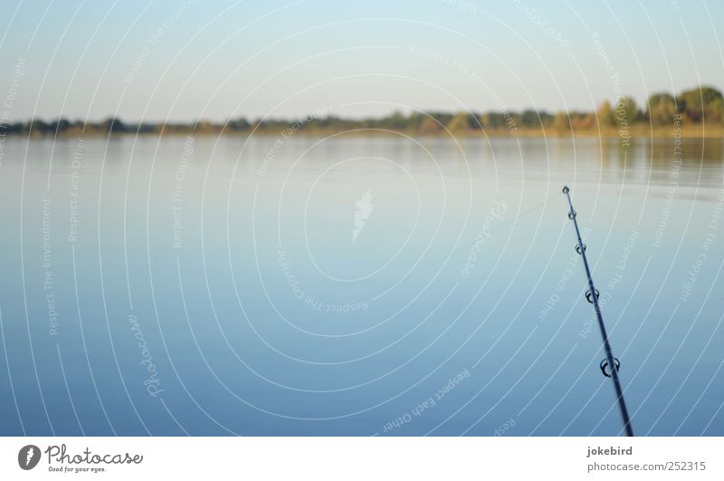 angler idyll Harmonious Relaxation Calm Leisure and hobbies Fishing (Angle) Landscape Water Sky Horizon Lakeside Fishing rod Catch To enjoy Free Natural Blue