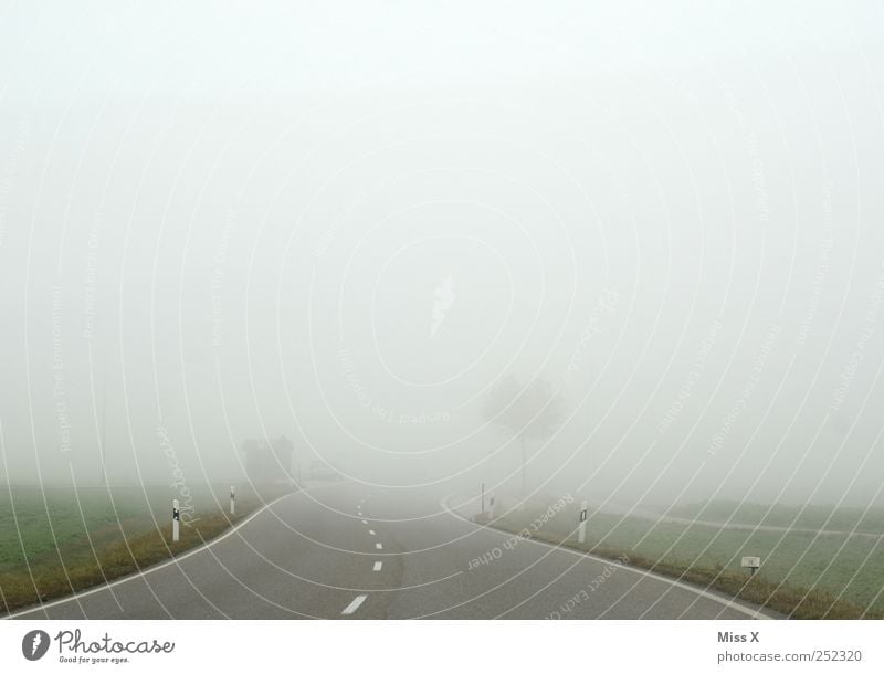 away into nowhere Weather Bad weather Fog Transport Traffic infrastructure Street Gloomy Gray Threat Safety Road safety Shroud of fog Misty atmosphere