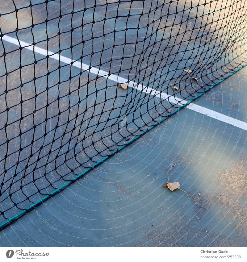 40:0 Leisure and hobbies Playing Summer Sports Ball Sporting Complex Green Line T-line Net Tennis Tennis court Leaf White Autumn Square Diagonal hard court