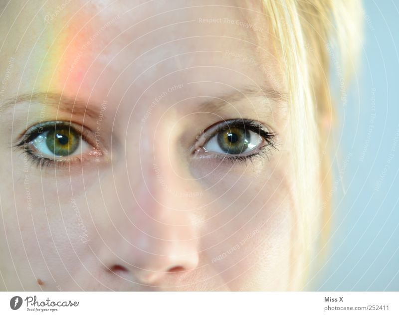 rainbow eye Feminine Face Eyes 1 Human being 18 - 30 years Youth (Young adults) Adults Beautiful Multicoloured Prismatic colors Prismatic colour Iris Rainbow