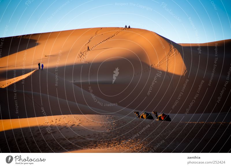 Erg Chebbi Climate Beautiful weather Desert Sahara Adventure Loneliness Experience Horizon Idyll Nature Vacation & Travel Risk Calm Tourism Tradition Survive