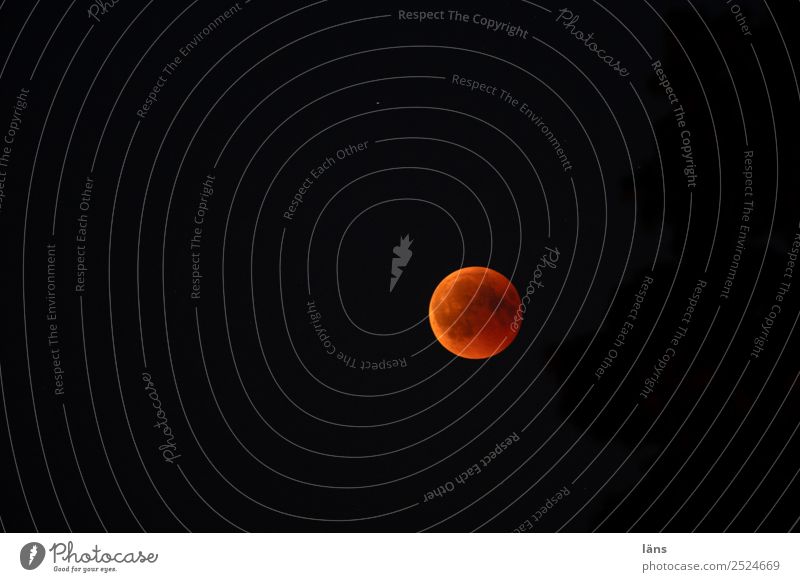 Total Lunar Eclipse Night sky Moon Lunar eclipse Full  moon Exceptional Sky Deepest shadow Colour photo Copy Space left Copy Space top Copy Space bottom