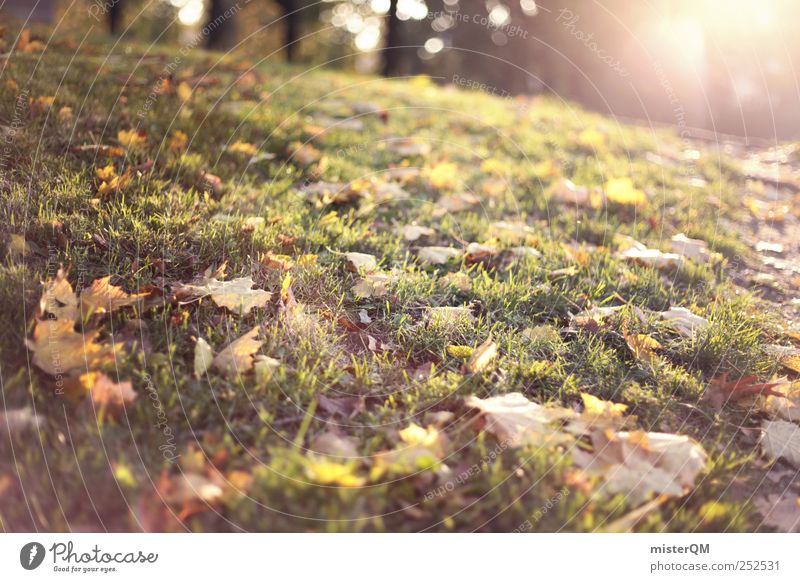 Best Early Fall Sunshine Background Royalty-Free Images, Stock Photos &  Pictures