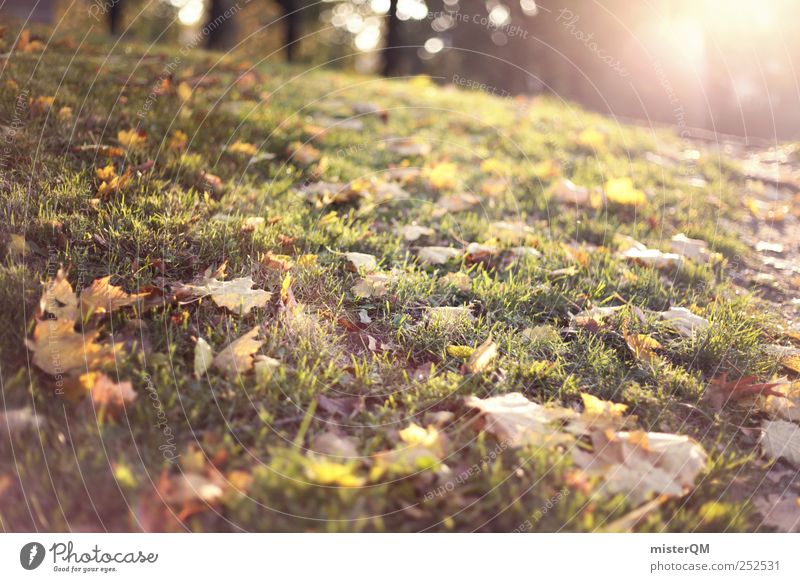 Best Early Fall Sunshine Background Royalty-Free Images, Stock