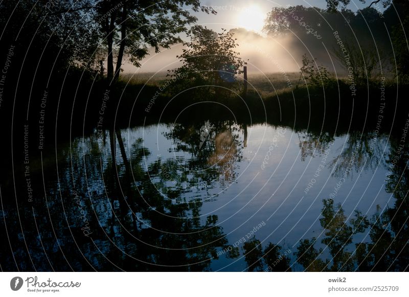 Still flowing Environment Nature Landscape Plant Air Water Cloudless sky Horizon Autumn Climate Beautiful weather Tree Bushes Meadow Brook Surface of water