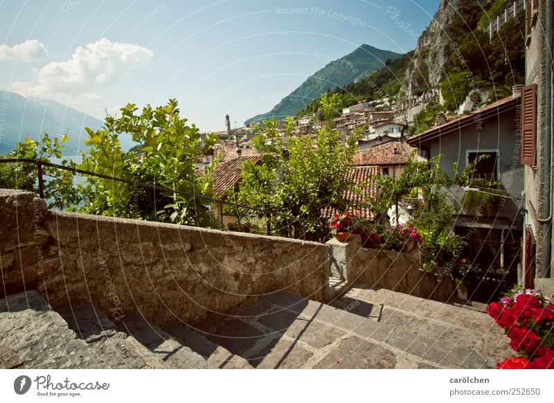 a bit of a vacation Village Deserted Stairs Lake Garda Limone Old town Summer Summer vacation Summery Slope Vacation mood Vacation photo Colour photo
