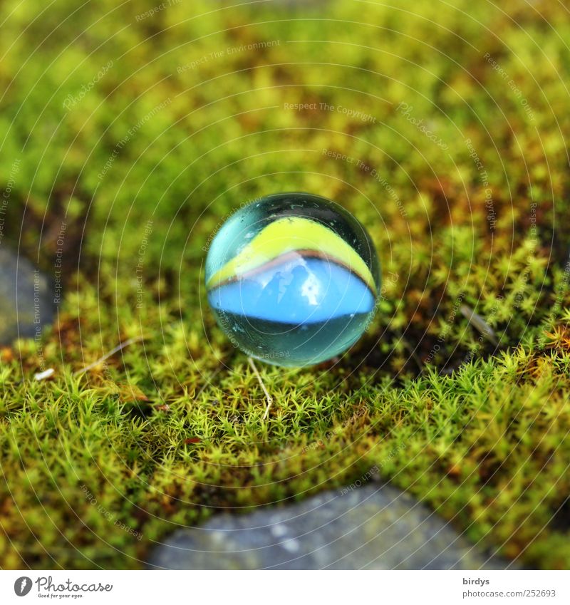 Small marble very big Children's game Marble Summer Moss Illuminate Round Beautiful Soft Blue Yellow Green Joy Infancy Nature Discovery Glass ball Exterior shot