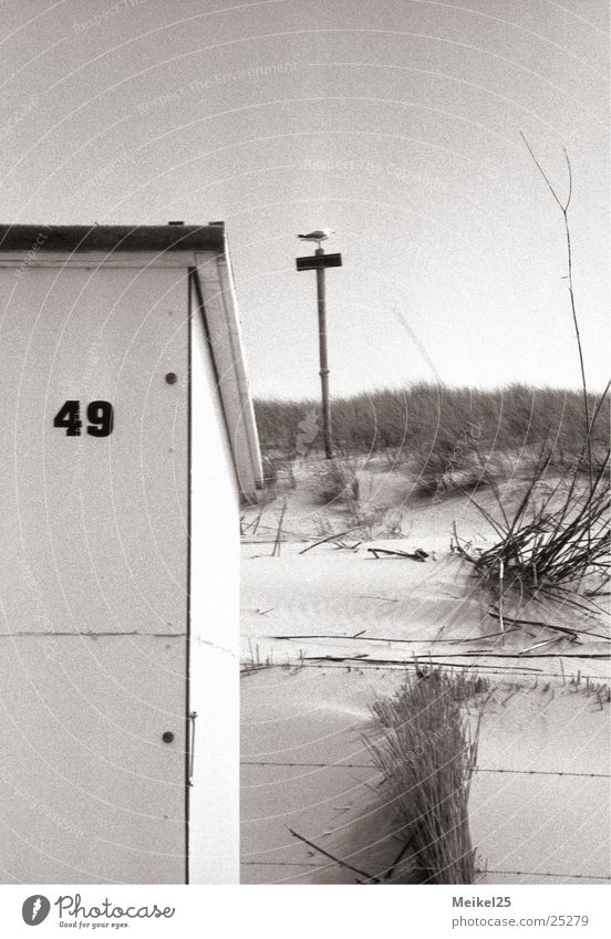 beach cottage Beach hut Netherlands Duplex Vacation & Travel Ocean Bird Exterior shot Europe Black & white photo uralub Sky Sun Beach dune Sand