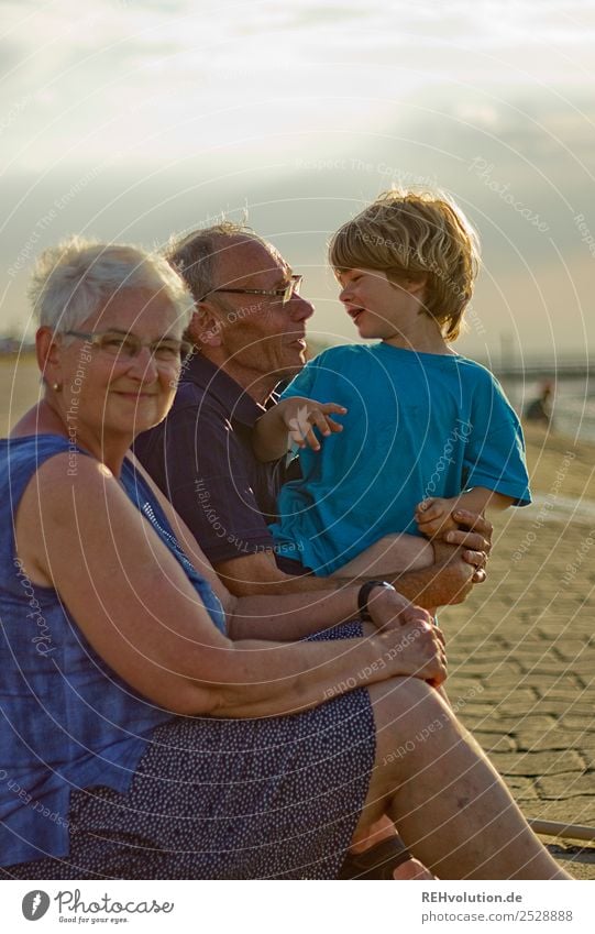 Grandma and grandpa with grandson on the beach Grandchildren Happy Together Laughter Smiling Sunlight Summer vacation Grandmother Grandfather Infancy