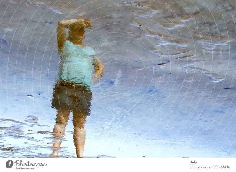 Mirror image of a woman standing in the mudflats and looking up Human being Feminine Woman Adults 1 30 - 45 years Environment Nature Water Summer