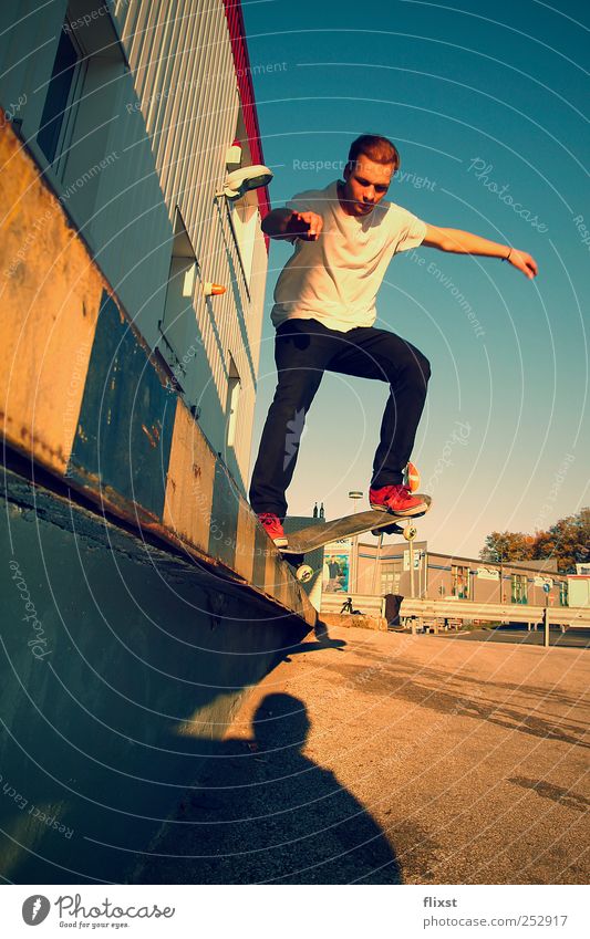 summer action Masculine Young man Youth (Young adults) 1 Human being 18 - 30 years Adults Summer Beautiful weather Enthusiasm Skateboard Skateboarding