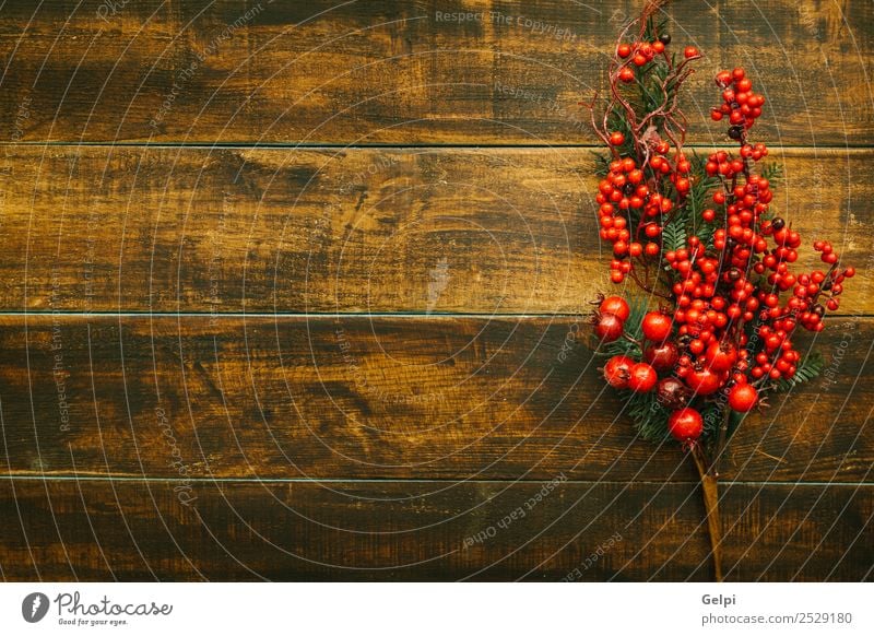 Christmas branch with red fruits on a wooden background Fruit Winter Decoration Feasts & Celebrations Christmas & Advent Nature Plant Tree Leaf Wood New Brown