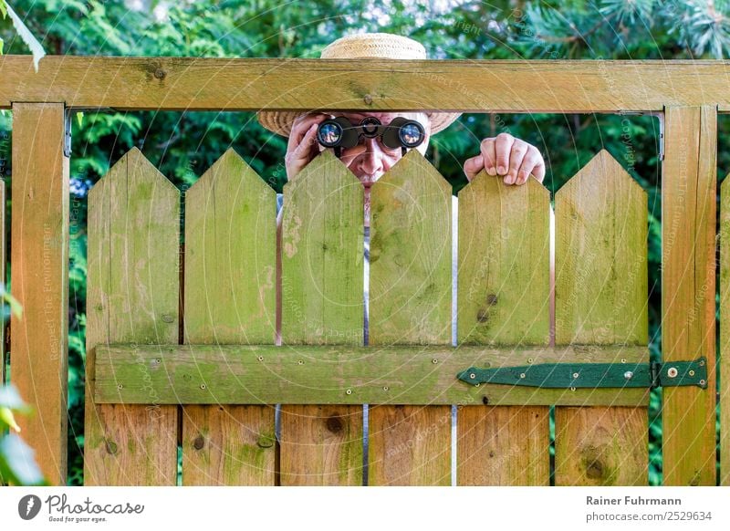 A nosy neighbor peers over a garden fence. Looking through binoculars. Human being Masculine Man Adults Male senior Head 1 60 years and older Senior citizen