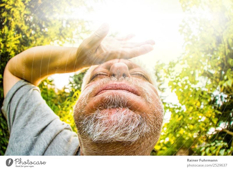 Portrait of a man, he sweats in great summer heat Human being Masculine Man Adults Male senior 1 Sun Sunlight Climate Climate change Weather Warmth Garden Park