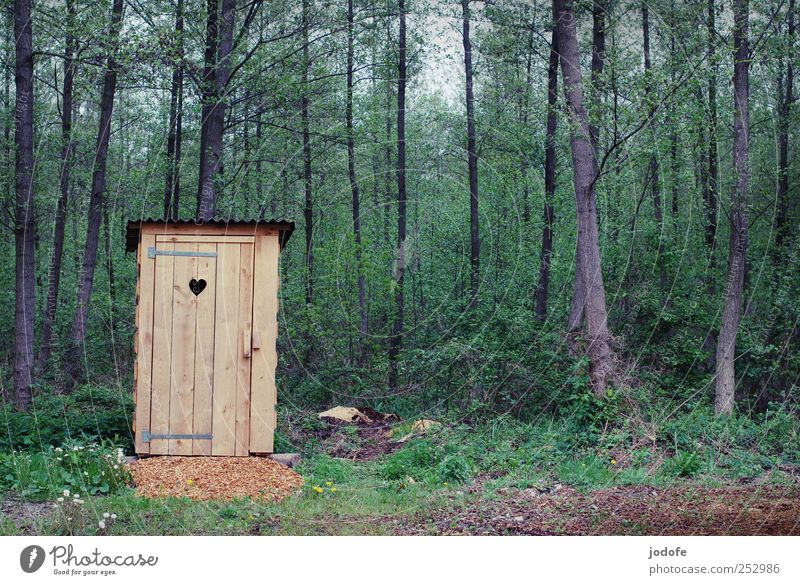 quiet place Environment Nature Plant Forest Simple Toilet toilet house Latrine Hut Heart Wood Loneliness Wilderness free landscape Green Brown Rental toilet