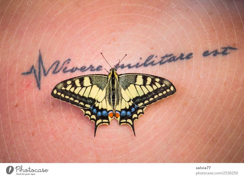 When I was younger my mom gave me a tiger swallowtail butterfly wing she  had found in the garden Just before her passing I asked if I could tattoo  the whole butterfly