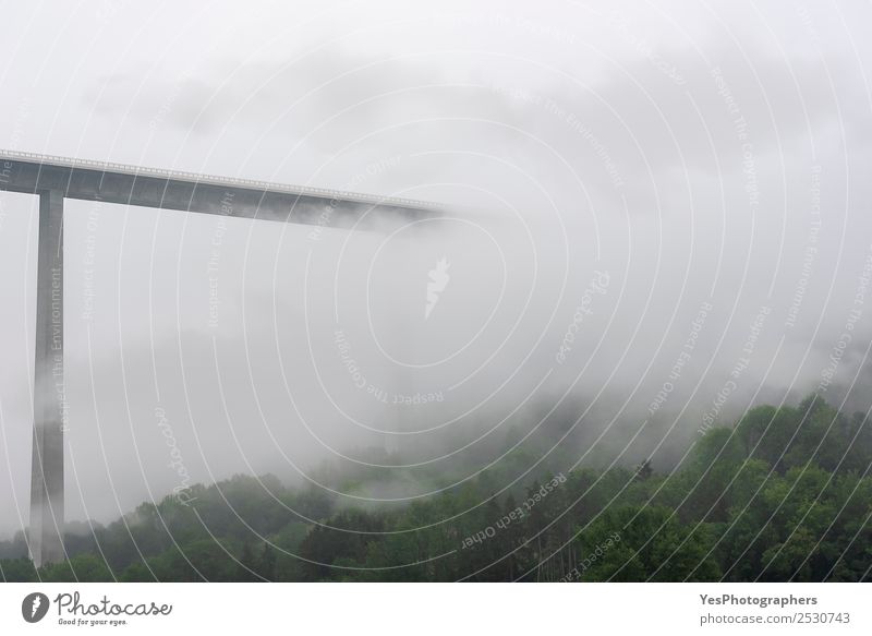High modern bridge vanishing into mist and clouds Technology Nature Landscape Clouds Bad weather Fog Forest Hill Bridge Manmade structures Architecture