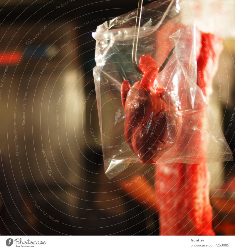 The crux of love Food Meat Red Killing Heart Butcher End Death Colour photo Multicoloured Interior shot Deserted Copy Space left Artificial light Light Contrast