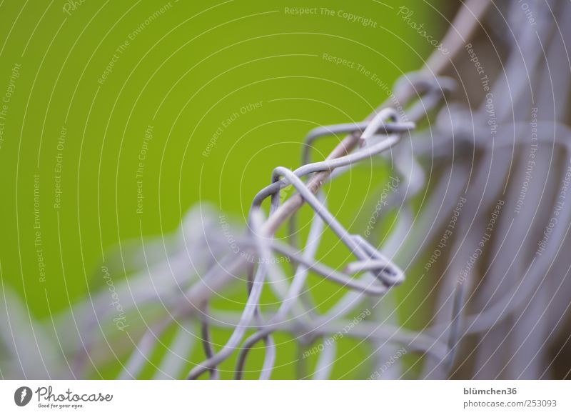 Wire fence meshes Fence Wire netting fence Metal Knot Network To hold on Sharp-edged Gray Green Protection Safety Divide Attachment Border Barrier Chaos Plaited