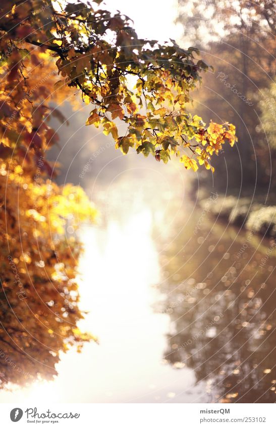 Best Early Fall Sunshine Background Royalty-Free Images, Stock