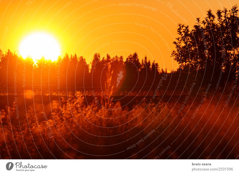 Sunset over forest Beautiful Vacation & Travel Tourism Trip Summer Mountain Solar Power Environment Nature Landscape Earth Sky Horizon Autumn Tree Park Forest