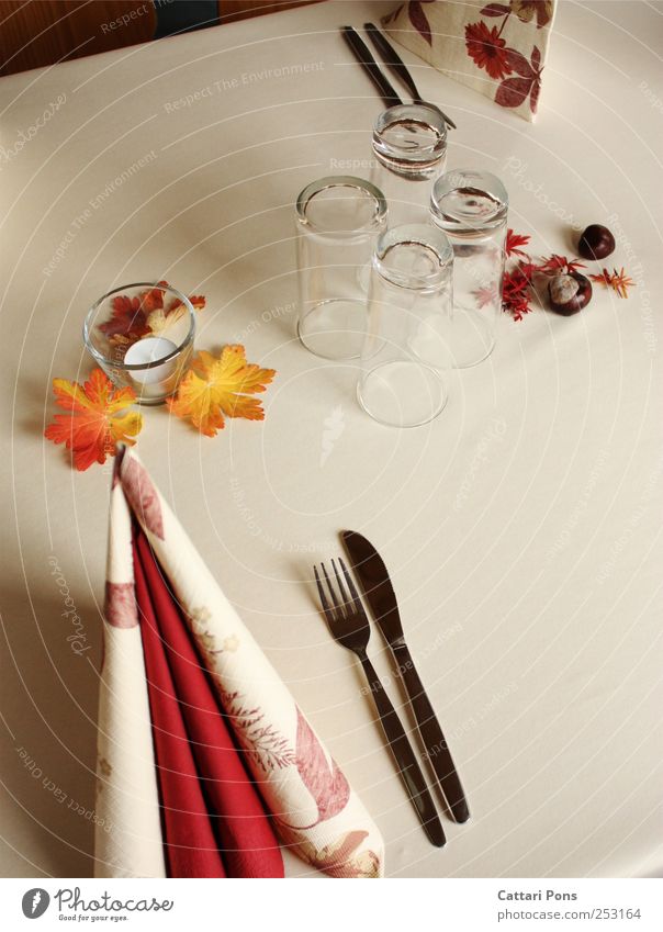Covered for autumn. Buffet Brunch Banquet Crockery Glass Cutlery Knives Fork Leaf Lie Stand Elegant Bright Clean Style Autumn Decoration Chestnut tree Napkin