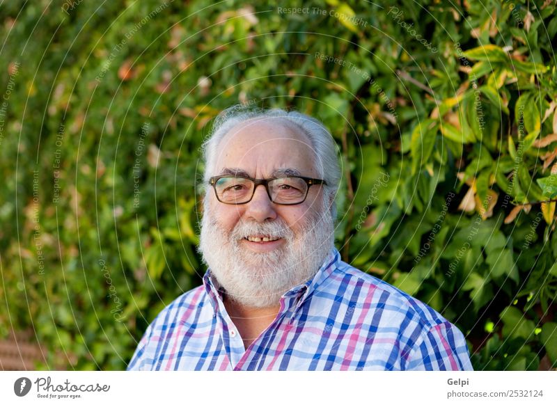 Portrait of senior man with white beard in the garden Lifestyle Happy Face Calm Leisure and hobbies Summer Garden Retirement Human being Man Adults Grandfather